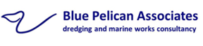 Blue Pelican Associates